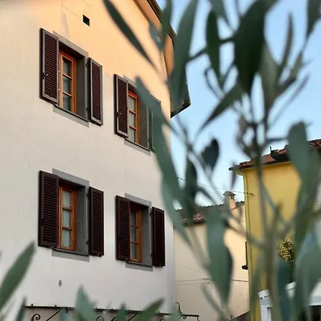 Nottolini House - A Due Passi Dal Centro Di * 루카